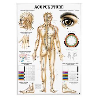 Agopuntura del corpo poster didattici 
