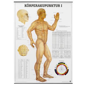 Body acupuncture I teaching charts - German 
