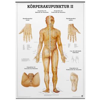 Body acupuncture II teaching charts - German 