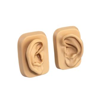 Modello dell'orecchio privo di punti di agopuntura 
