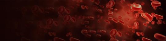 PVS & the Pathogenesis of Xue Yu - Blood Stasis 