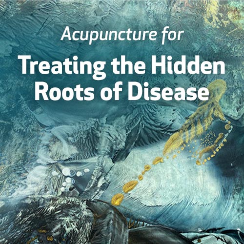 Acupuncture for Treating the Hidden Roots of Disease 