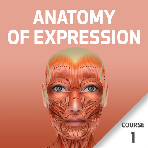Anatomy of Expression - Course 1 