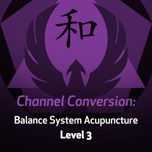 Channel Conversion: Balance System Acupuncture - Level 3 