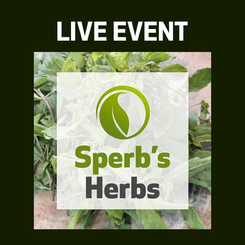 LIVE EVENT - Sperb's Herbs: Wu Gong (Centipede) 