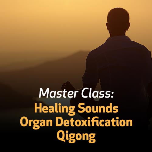 Master Class: Healing Sounds Organ Detoxification Qigong 