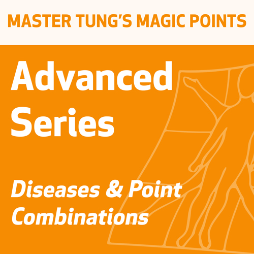 Master Tung's Magic Points: Advanced Series 