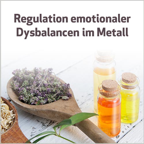 Regulation emotionaler Dysbalancen im Metall 